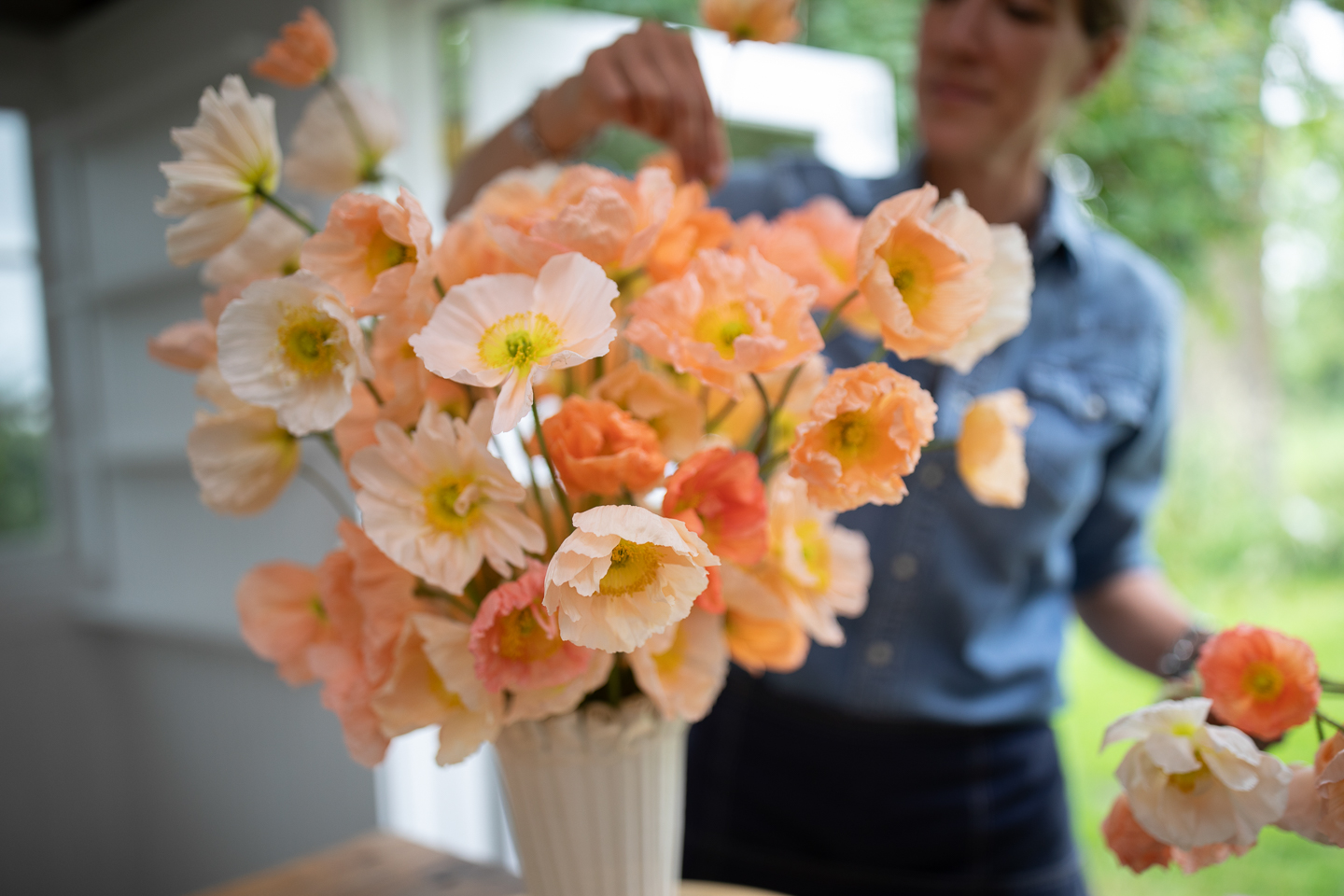 Close up of Icelandic poppies in shades of cream and peach arranged in a vessel