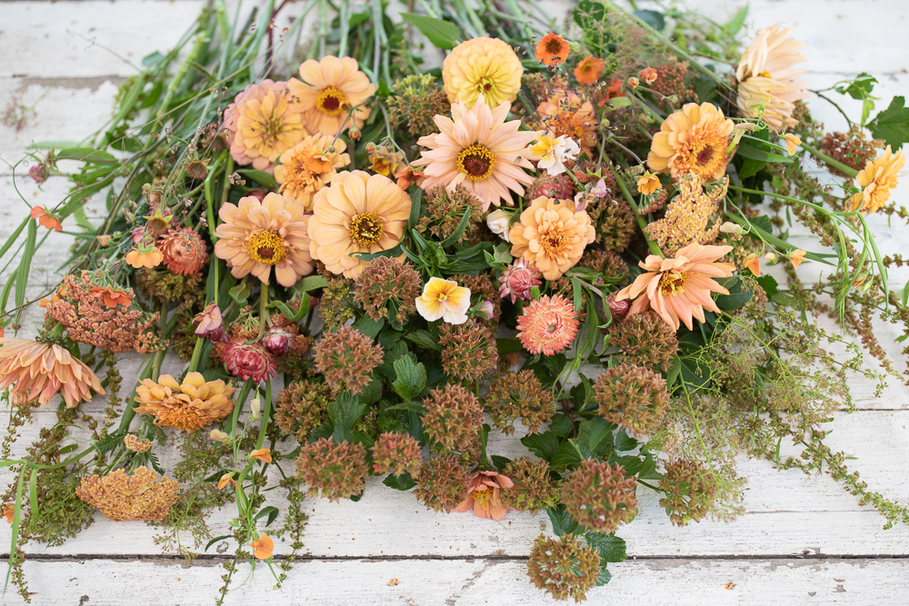 Blooms in shades of peach, orange, and rust
