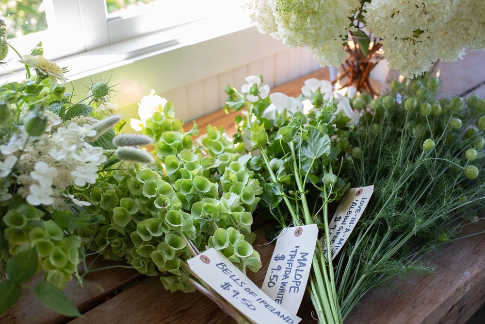 Bunches of Bells of Ireland, malope, and love-in-a-mist tagged for sale