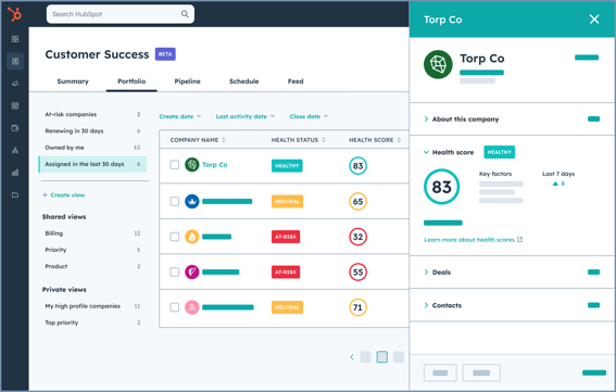 Service Hub simplified user interface showing Customer Success Workspace